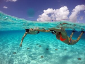 Sports and nature image