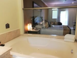 Swim Up Junior Suite DR
