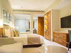 Deluxe King Suite