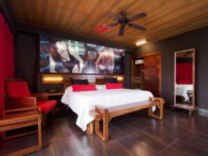 Junior King Suite RR