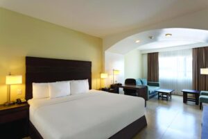 Junior King Suite – Non-Smoking